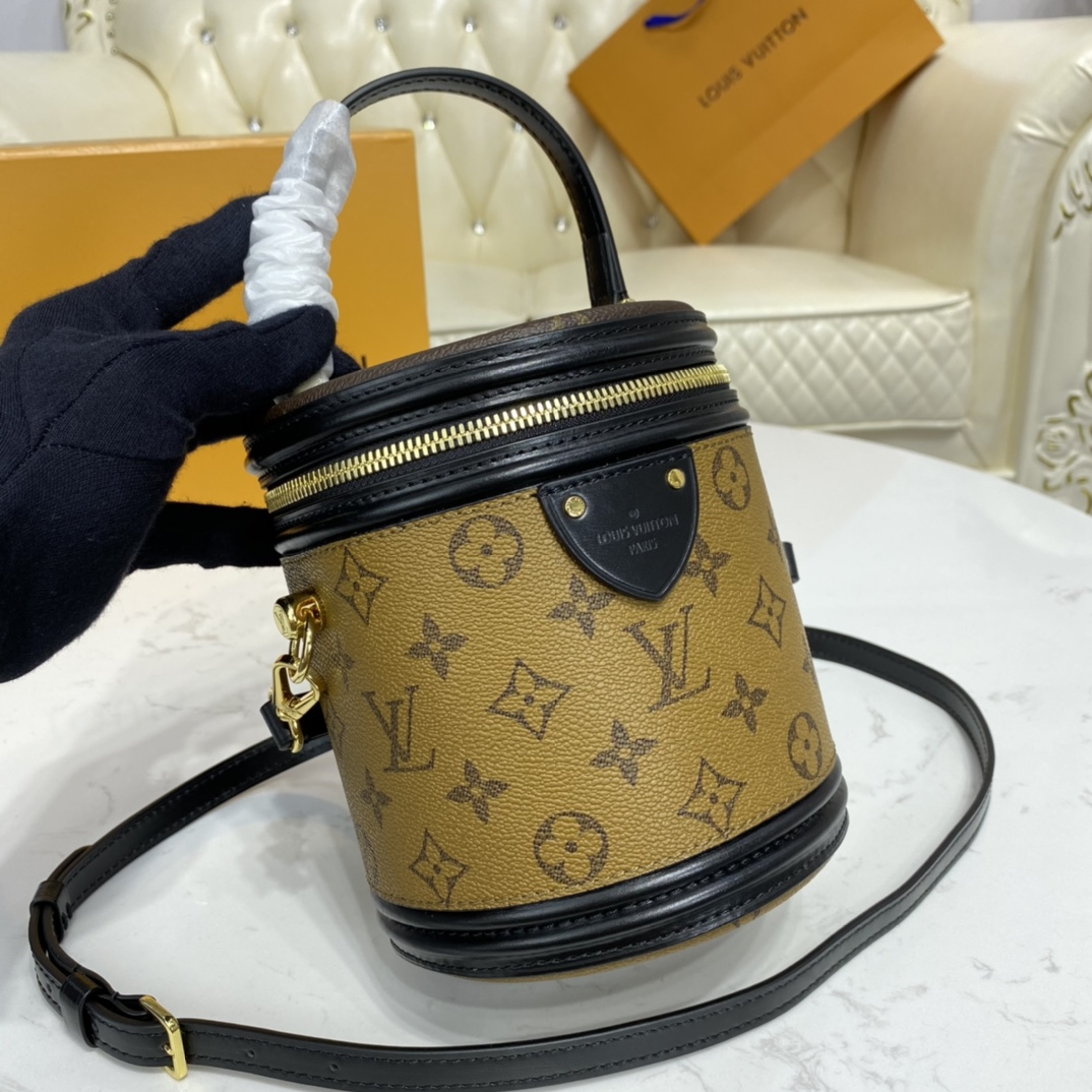 Louis Vuitton CANNES Monogram Case Handbag M43986 